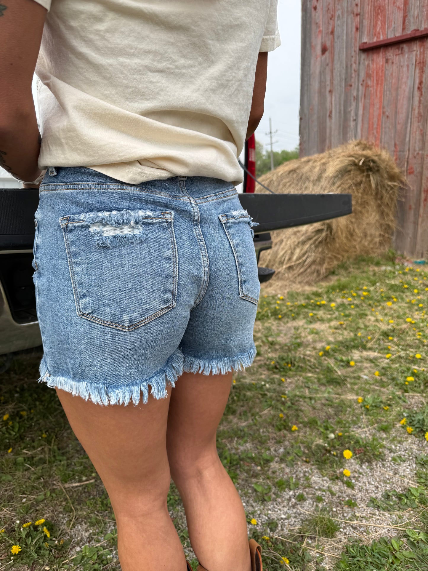 Charlie High Rise Shorts