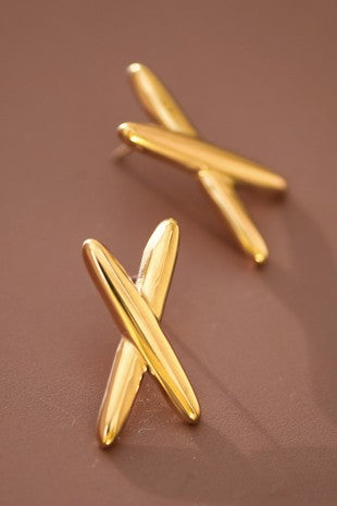 X Marks The Spot Earrings